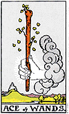 Ace-of-Wands